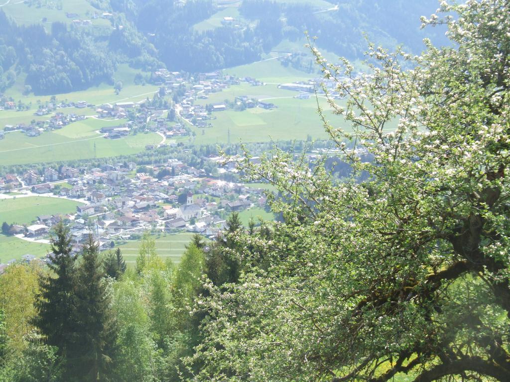 Ferienwohnung Lehenhof 齐勒河谷的里德 客房 照片