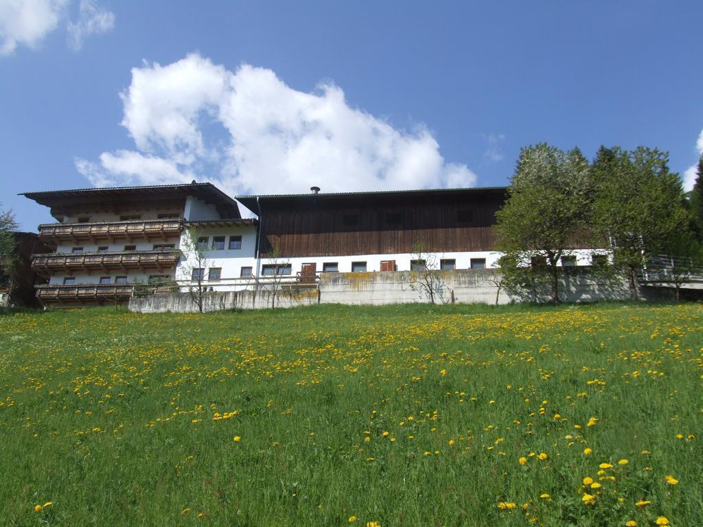 Ferienwohnung Lehenhof 齐勒河谷的里德 客房 照片