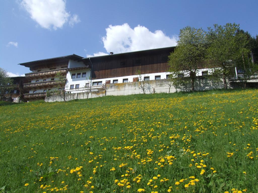 Ferienwohnung Lehenhof 齐勒河谷的里德 客房 照片