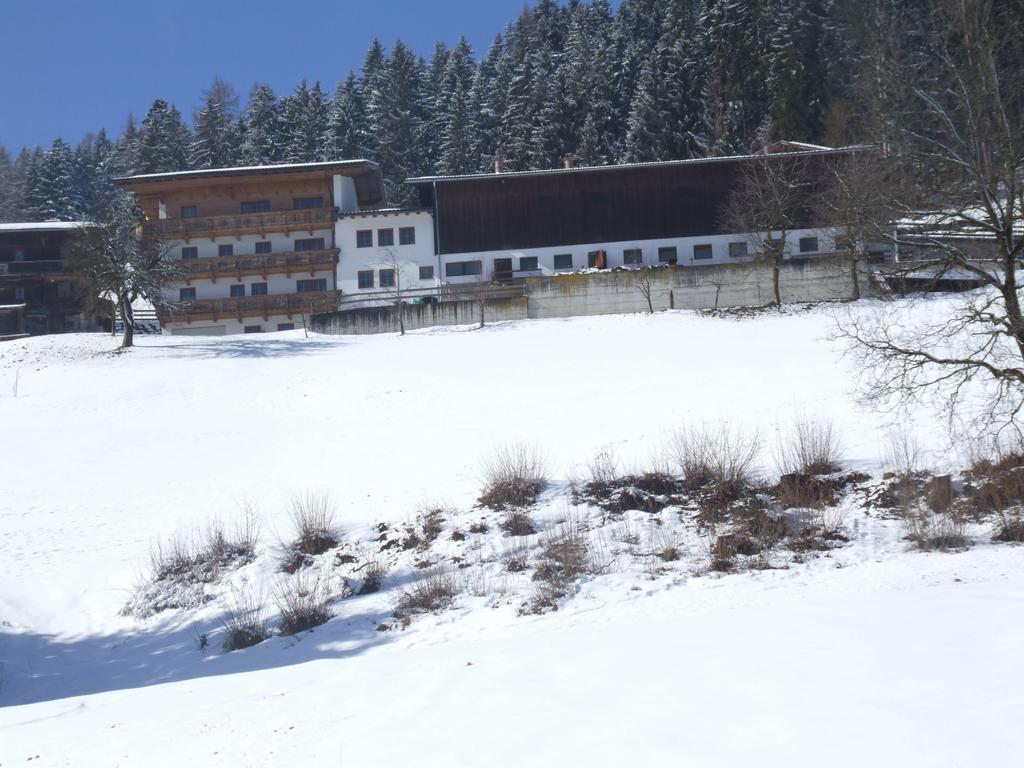 Ferienwohnung Lehenhof 齐勒河谷的里德 客房 照片